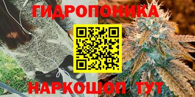 не бодяженный Можга