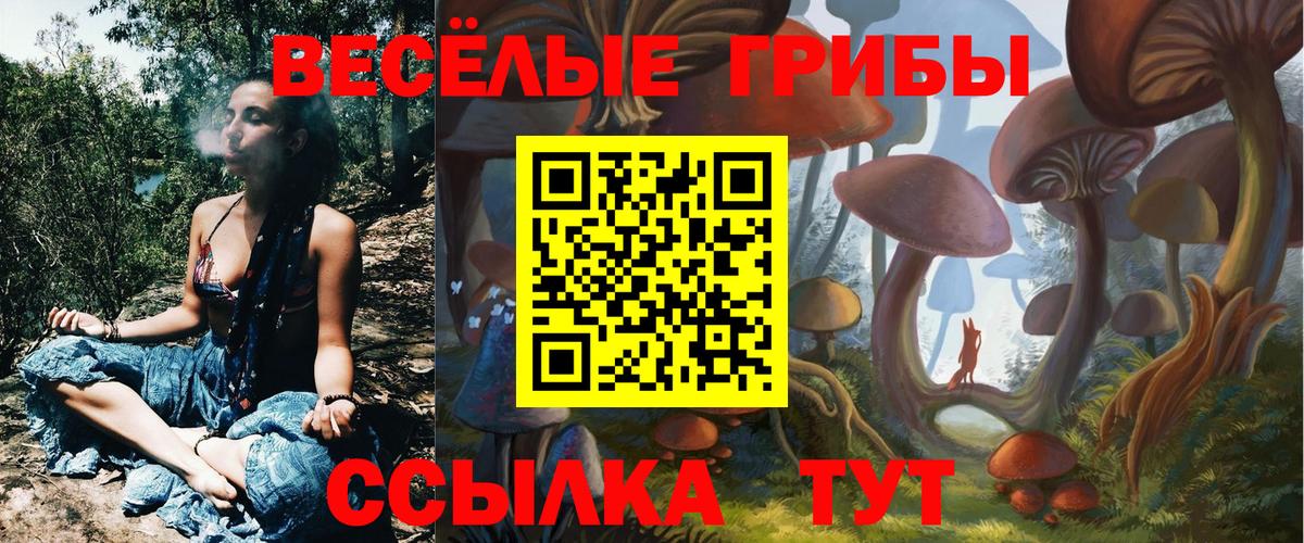 Пыть-Ях  Псилоцибиновые грибы Magic Shrooms  Галлюциногенные грибы GOLDEN TEACHER  Вход с VPN 